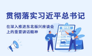 貫徹落實(shí)習(xí)近平總書記在深入推進(jìn)東北振興座談會(huì)上的重要講話精神